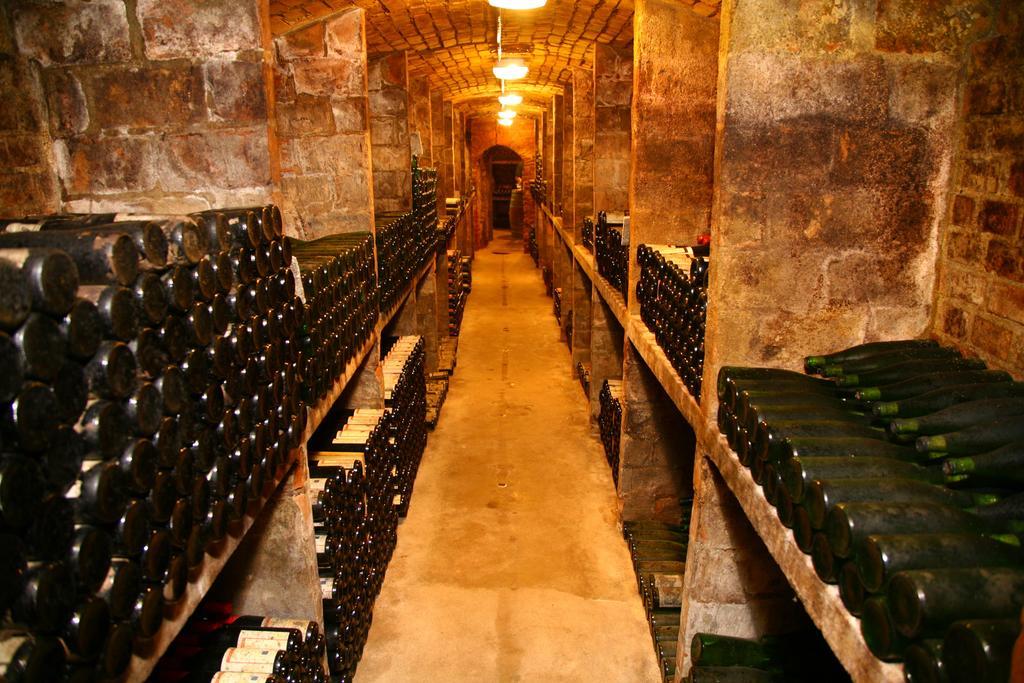 Ferienwohnung Weingut Kloster Pforta 萨勒河畔瑙姆堡 客房 照片