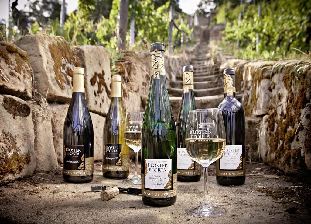 Ferienwohnung Weingut Kloster Pforta 萨勒河畔瑙姆堡 客房 照片