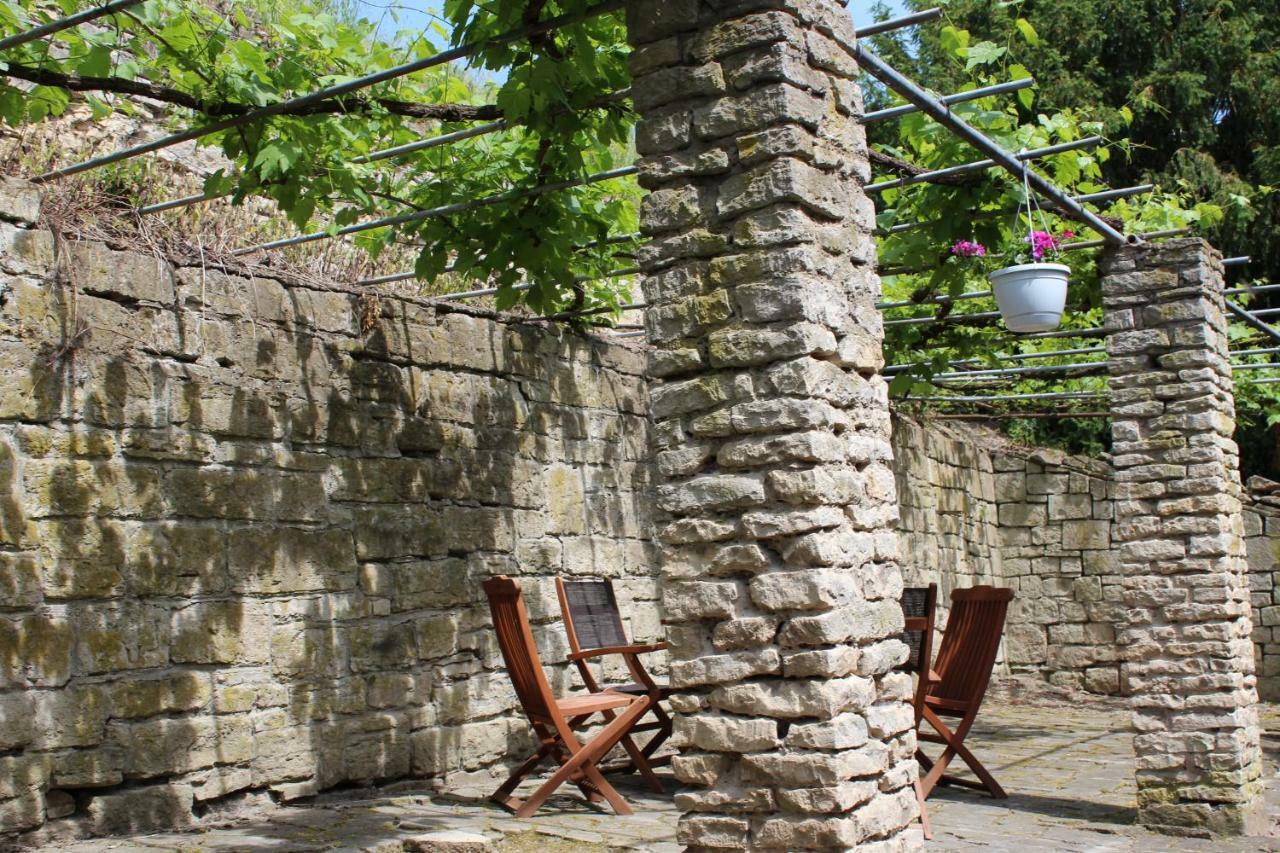 Ferienwohnung Weingut Kloster Pforta 萨勒河畔瑙姆堡 外观 照片